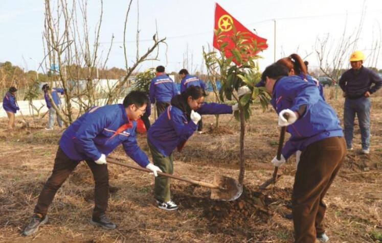 QQ截圖20240305144034.jpg
